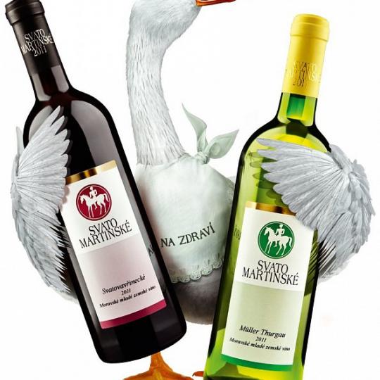 Ochutnávka svatomartinských vín 1