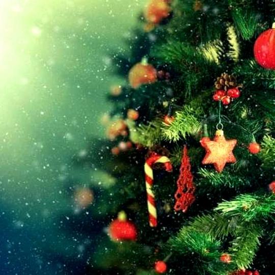  Adventní setkání s rozsvícením vánočního stromu 1