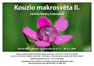 Kouzlo makrosvěta II 1